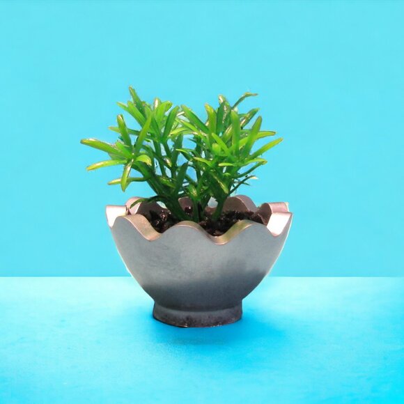 Aquarium Decoration - Silver Wavy Pot with Small Green Plant. - Picture 3 of 6